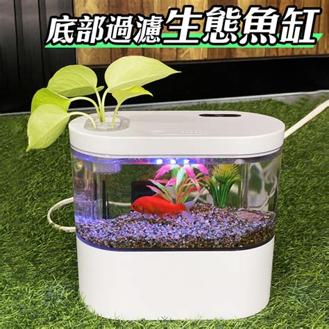 魚缸风水